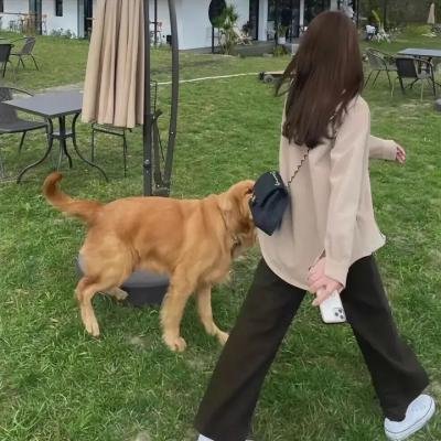 海军忠犬马克斯